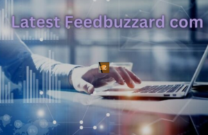 Latest Feedbuzzard com